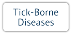 Tick-Borne Diseases (1).png
