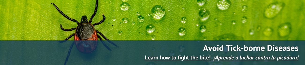 Homepage Tick Banner (2).png