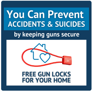 Gun lock homepage Image (1).png