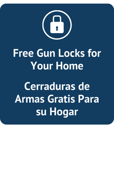 Gun lock image for web (1).png